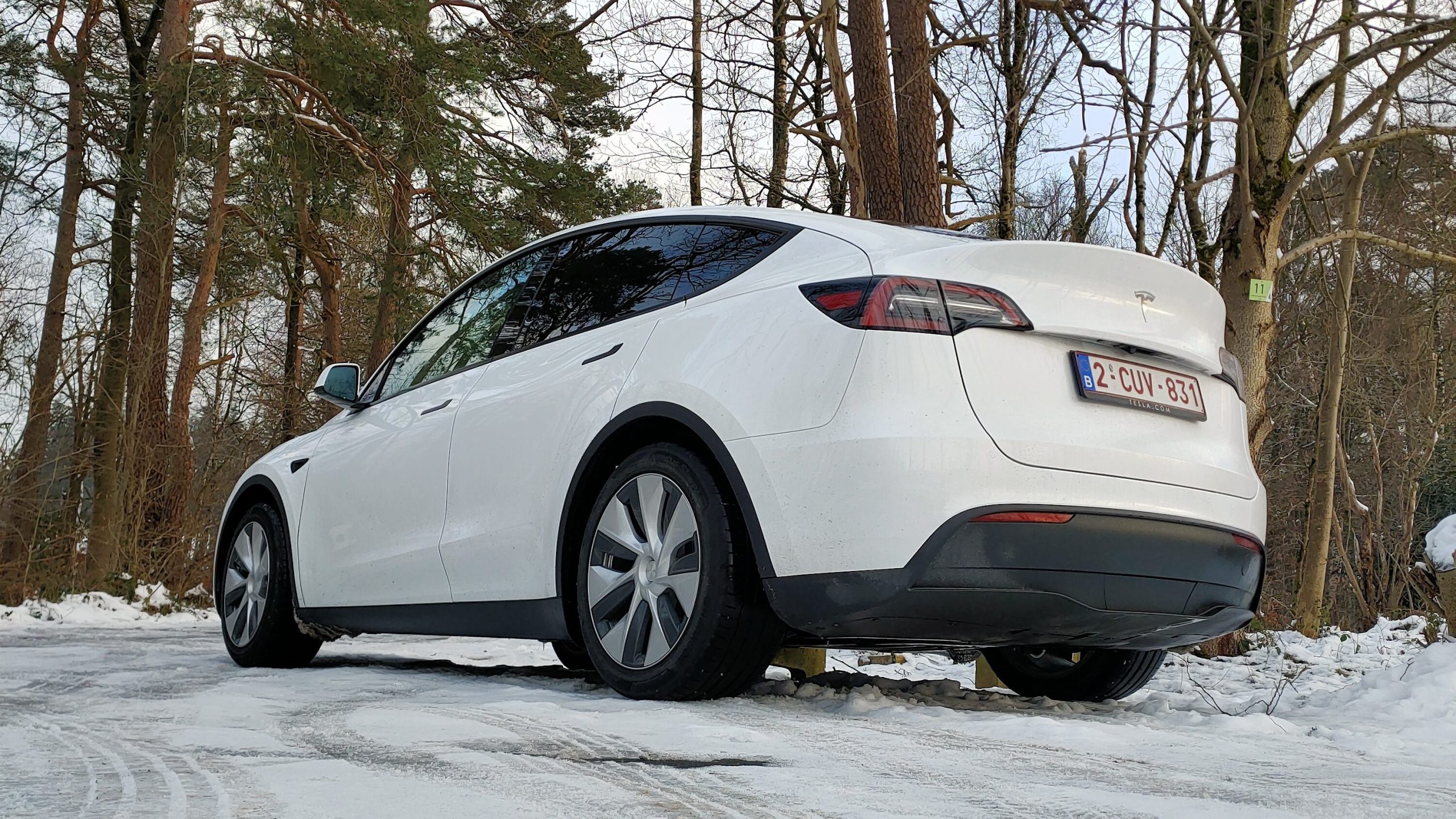 Ervaring elektrisch rijden met de Tesla Model Y Standard Range